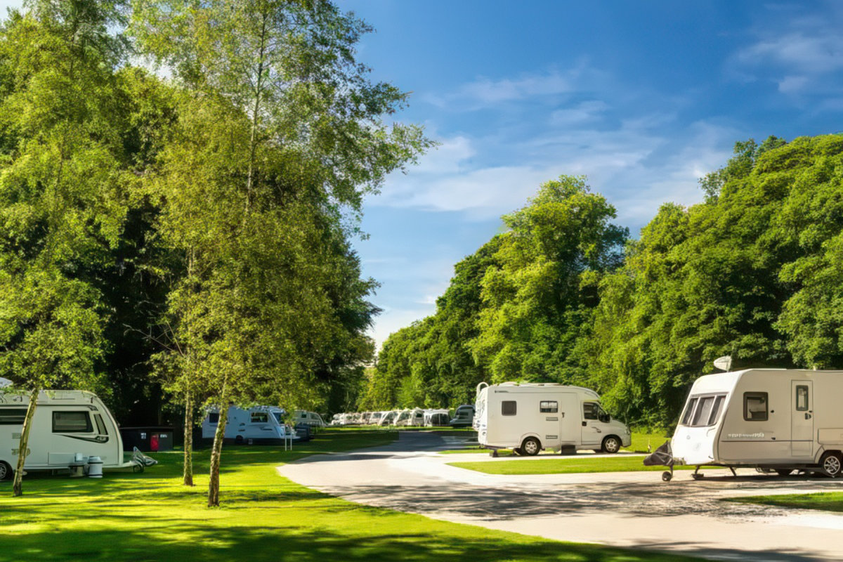 Campsite Guide
