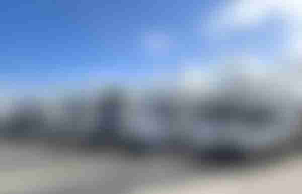 Dog-Friendly Motorhome Hire