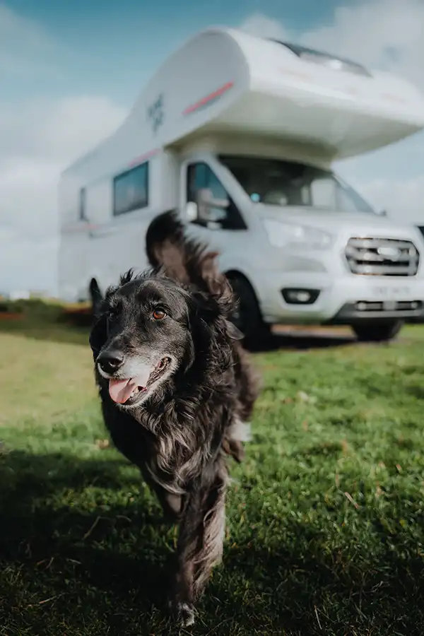 Dog-Friendly Motorhome Hire